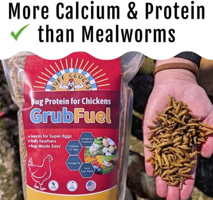 Grub Fuel Black Soldier Fly Larvae for Chickens - Nutrient Packed BSFL, Sustainably Sourced Snack for Poultry, Rich in Protein, Calcium, Fiber, Essential Fatty Acids, USA Grown (5LB)-VerdiqueGarden