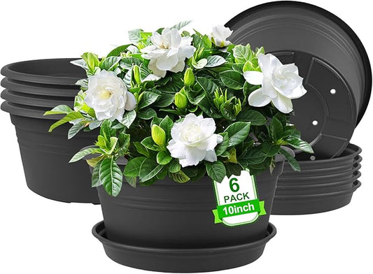 6 Pack 10 inch Plant Pot, Round Plastic Plant Pots, Outdoor Pots for Plants with Drainage Hole & Tray Saucer, Decoration Flower Pots for Indoor Plants Home Garden Outdoor Planters (Grey)-VerdiqueGarden