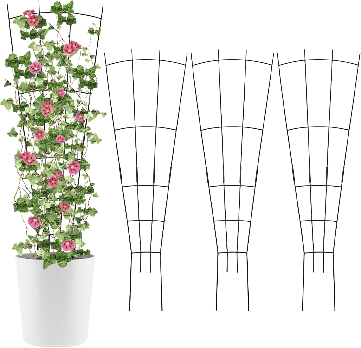 4 Pack 32'' Plant Trellis Indoor - Metal Trellis for Climbing Plants Indoor, Garden Trellis for Climbing Plants Outdoor Houseplants Flowers Vine Ivy, Fan Shape, Black-VerdiqueGarden