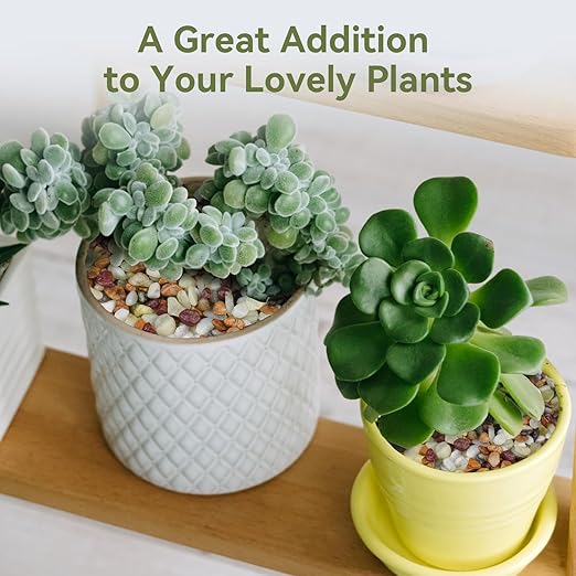 10 lbs Pebbles for Indoor Plants, Succulent Rocks, 3/8" Polished Pebbles for Bamboo, Vase, Terrarium, Natural Decorative Small River Rocks for Crafts, Cactus, Outdoor Garden Landscaping-VerdiqueGarden