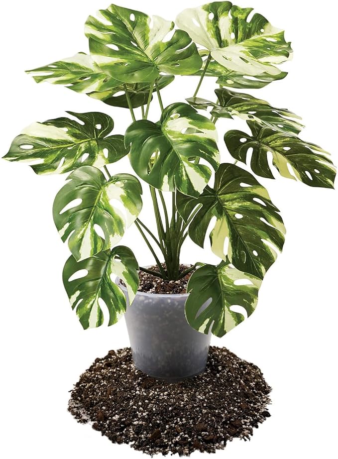 Premium Aroid Potting Mix - 20 Quart - Soil Free Blend for Aroids - Growing Medium for House Plants by Gardenera - (4 Bags of 5 Quart)-VerdiqueGarden