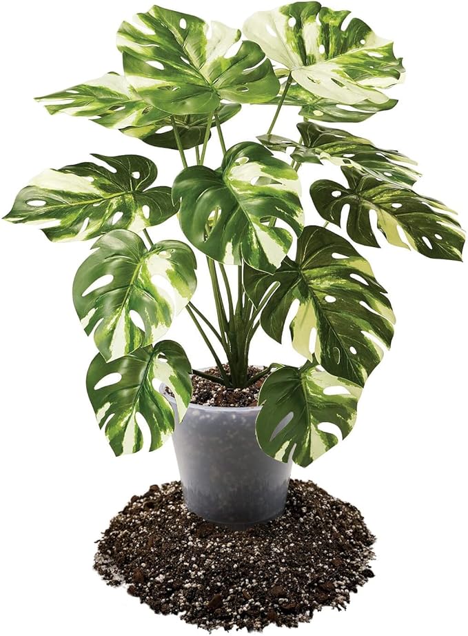 Premium Aroid Potting Mix - Soil Free Blend for Aroids - Growing Medium for House Plants by Gardenera - (4 Quart Bag)-VerdiqueGarden