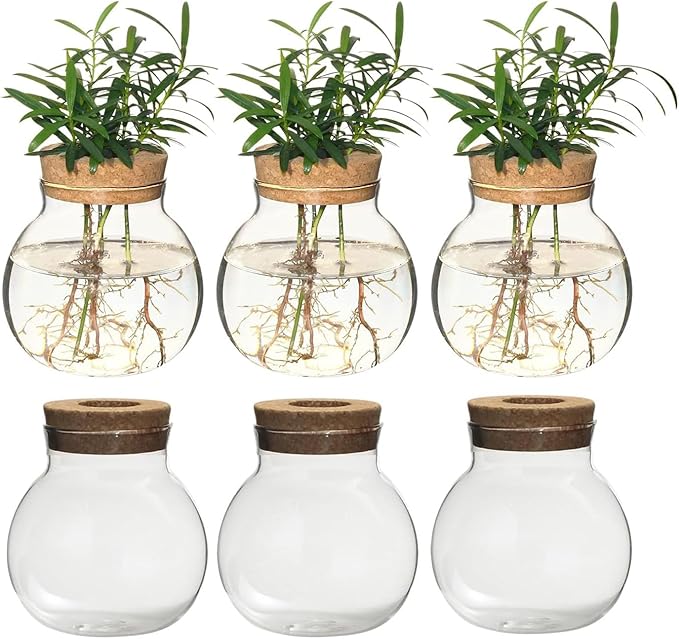Plant Propagation Station,Hydroponic Terrarium Vase,Desktop Glass Planter Station,for Houses,Garden Decorations,ropagating Hydroponic Plants,Centerpiece Office,Home Garden Decor (6)-VerdiqueGarden