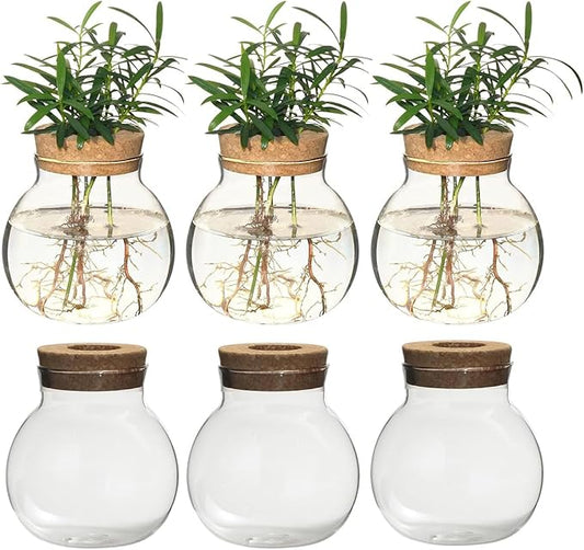 Plant Propagation Station,Hydroponic Terrarium Vase,Desktop Glass Planter Station,for Houses,Garden Decorations,ropagating Hydroponic Plants,Centerpiece Office,Home Garden Decor (6)-VerdiqueGarden