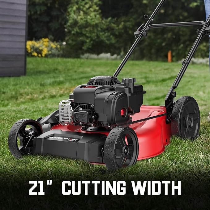 PowerSmart 21 in. Gas Lawn Mower with 125cc Briggs and Stratton E300 Engine, 2-in-1 Push Mower with Mulching & Side-Discharge-VerdiqueGarden