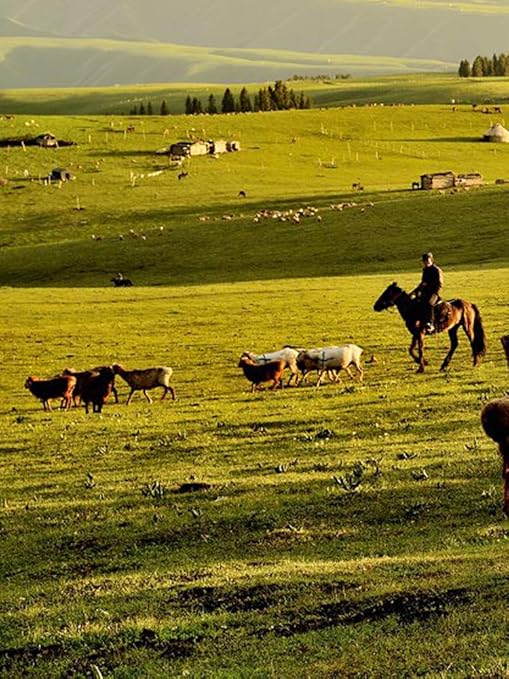 Electric Fence Polywire 1312 Feet，400 Meter，6 Stainless Steel Strands for Reliable Conductivity and Rust Resistance，Portable Electric Fence Rope-VerdiqueGarden