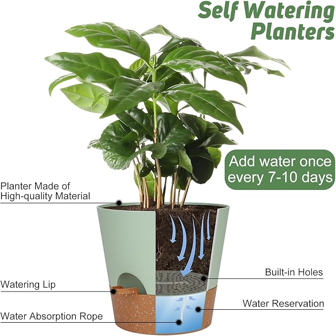 10-Inch Plant Pots, Self-Watering Planters with Drainage Holes & Saucers for Indoor and Outdoor Plants (2-Pack, Green)-VerdiqueGarden