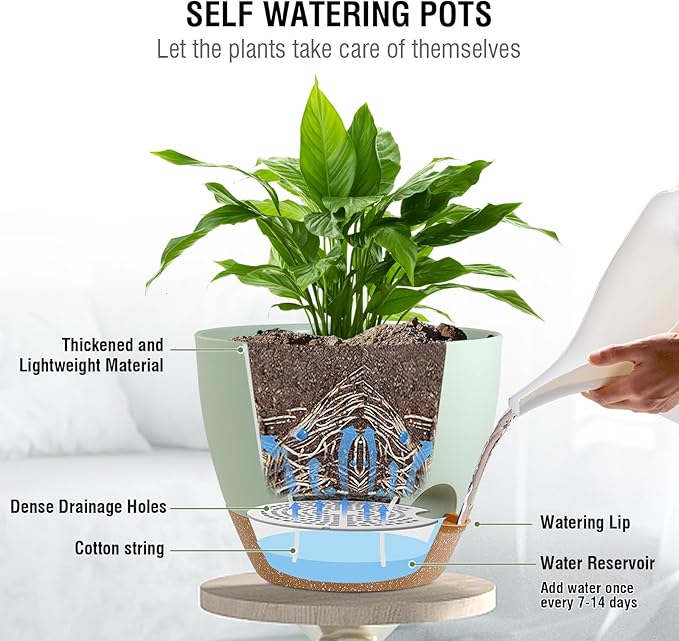 10 inch Self Watering Hanging Planters for Indoor Plants, 2 Pack Hanging Baskets for Outdoor Plants, Hanging Flower Pots with Drainage Holes & 2 Kinds of Plant Hangers for Home Decor, Green-VerdiqueGarden