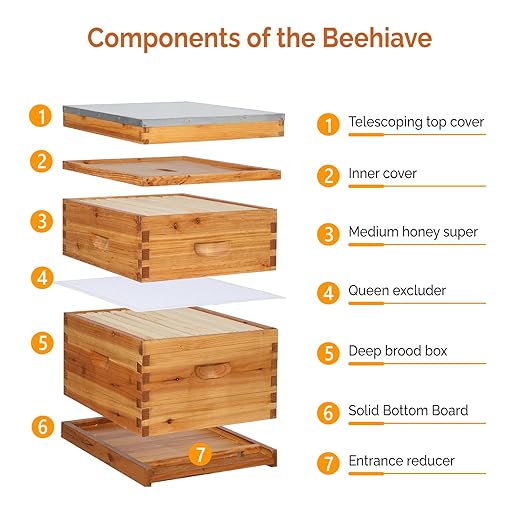 VINGLI 10 Frames Beehive, Complete Beehive Kit Includes 1 Deep Boxes, 1 Medium Box, Frames and Waxed Foundations, for Yard, Field, Bee Farm (2 Layer)-VerdiqueGarden
