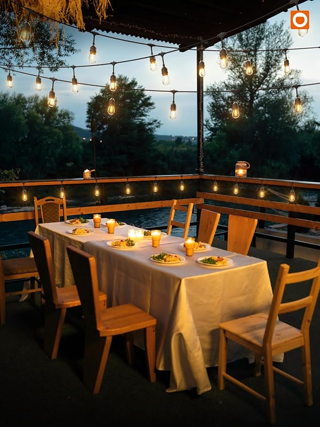 addlon LED Outdoor String Lights 36FT with Dimmable Edison Vintage Shatterproof Bulbs and Commercial Grade Weatherproof Strand - ETL Listed Heavy-Duty Decorative Lights for Patio Garden-VerdiqueGarden