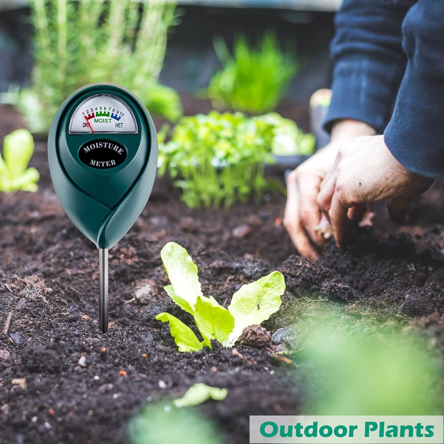 Soil Moisture Meter for House Plants, Plant Water Meter,Plant Moisture Meter for House Plants and Outdoor Plants, No Batteries Required (Green)-VerdiqueGarden