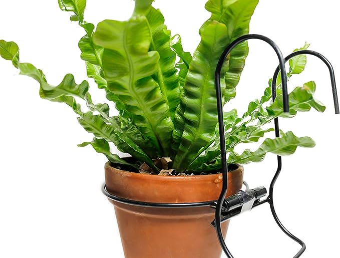 6 Pieces, 8 inches Iron hanging Flower Pot. Metal Plant Wall Hanger, Vertical Yard Garden. Planter Hook Ring, Rail Metal Fence. Indoor and Outdoor. Wire Trellis. Collapsible Bracket. (8 inches)-VerdiqueGarden