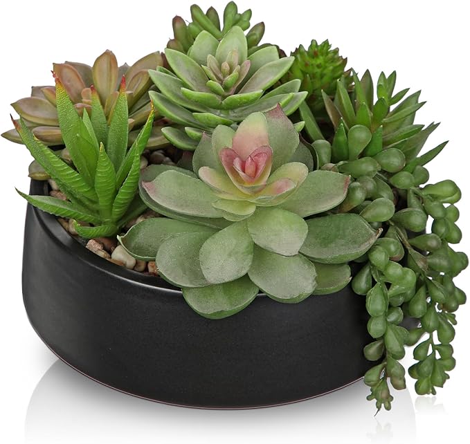 DILATATA Artificial Succulent Plants in Pot 5.5 Inch Fake Succulents Arrangement Potted Plant in Black Ceramic Planter Bowl for Home Office Desk Shelf Living Room Bedroom Bathroom Decor-VerdiqueGarden