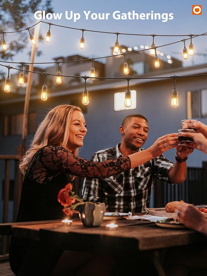 addlon Outdoor String Lights Timer Control, 48FT LED Patio Light with Edison Vintage Shatterproof Bulbs and Commercial Grade Weatherproof Strand - ETL Listed Heavy-Duty Decorative Lighting-VerdiqueGarden