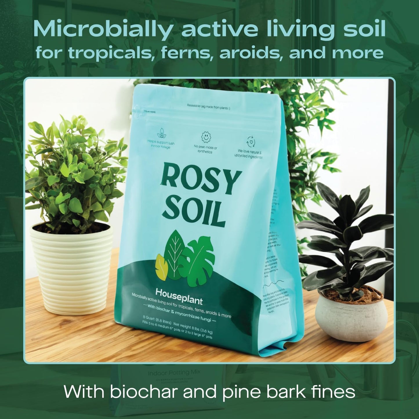 Rosy Soil Indoor Potting Soil for House Plants, 2 x 8 qrt - Organic Potting Soil Mix for Indoor Plants -Enriched w/Root-Boosting Biochar for Foliage Plants, Flowers, Herbs - Pack of 2-VerdiqueGarden