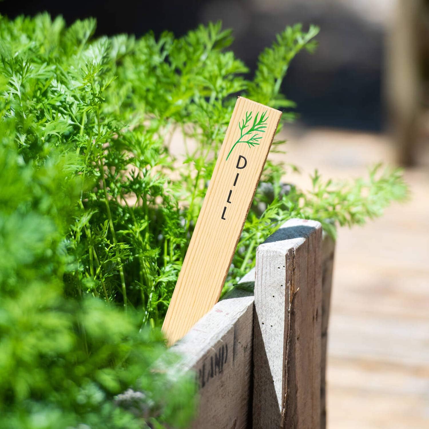 Huray Rayho 12PCS Wooden Indoor Herb Plant Labels Signs - Assorted Indoor Garden Stakes - Re-Usable Plant Tags-VerdiqueGarden
