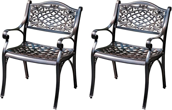 Outdoor Dining Chair Cast Aluminum Patio Chairs Set of 2 All-Weather Patio Dining Chair with Adjustable Feet for Backyard Garden (Die-Casting C Chair)-VerdiqueGarden