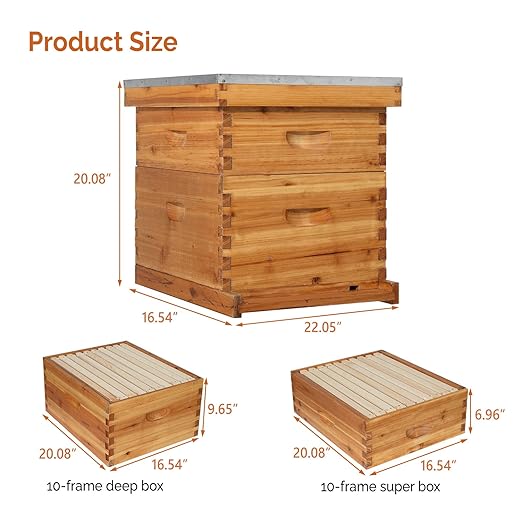 VINGLI 10 Frames Beehive, Complete Beehive Kit Includes 1 Deep Boxes, 1 Medium Box, Frames and Waxed Foundations, for Yard, Field, Bee Farm (2 Layer)-VerdiqueGarden