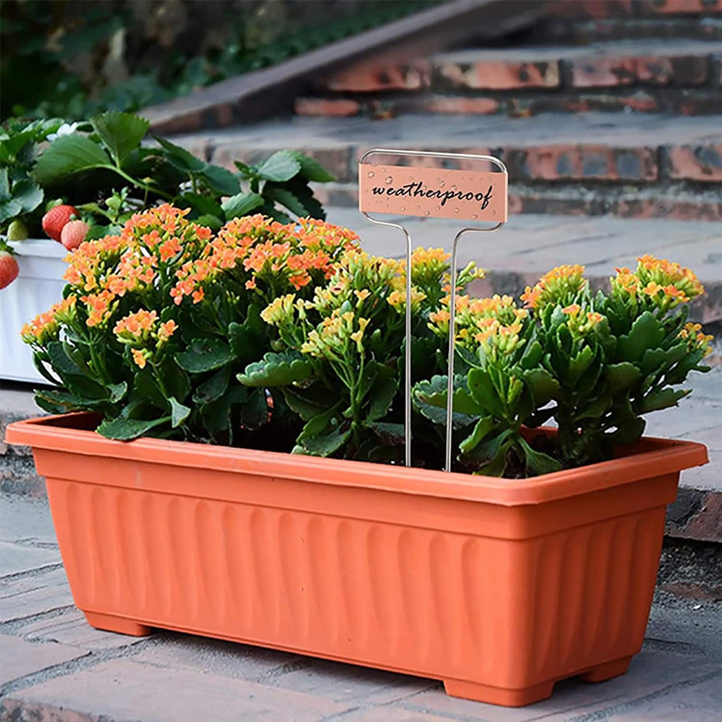 Foraineam 30 Pack 10 Inch High Copper Plate Metal Plant Labels Garden Stake Tags Reusable Planting Gardening Markers-VerdiqueGarden