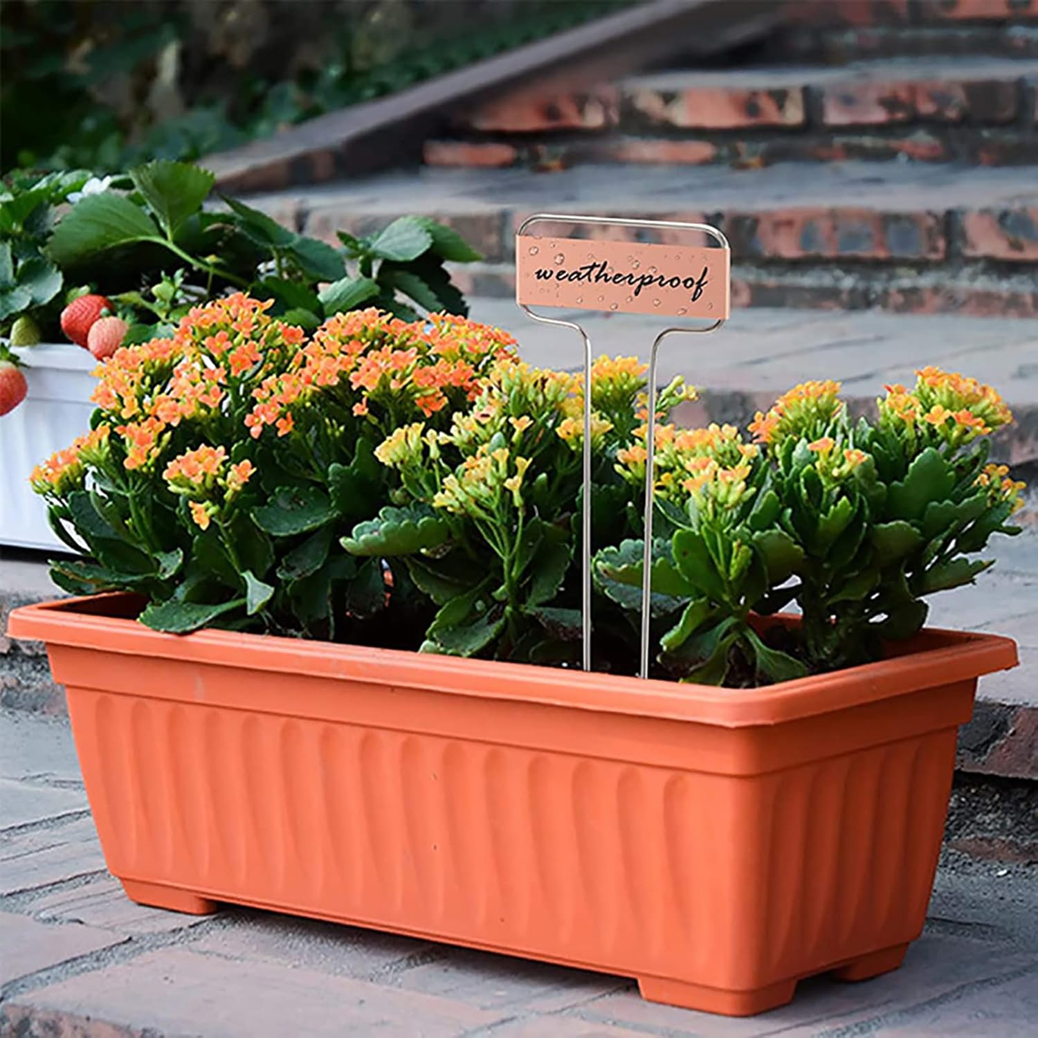 Foraineam 30 Pack 10 Inch High Copper Plate Metal Plant Labels Garden Stake Tags Reusable Planting Gardening Markers-VerdiqueGarden