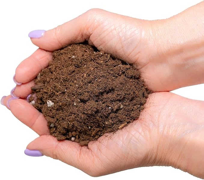 Citrus Tree Potting Soil Mix - 10 Quart - Special Blend for Indoor Oranges, Lemons, Limes and More - (2 Bags of 5 Quart)-VerdiqueGarden