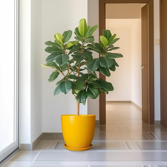 12 Inch Pots for Plants - Ceramic Planter for Indoor Plants Large Plant Pot with Drainage Hole and Saucer Round Outdoor Flower Pot for Garden Home Patio Office Yellow-VerdiqueGarden