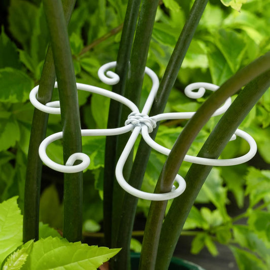 5PCS Monstera Plant Support Hook White 4.1 * 4.1 Inch – Set of 5 Durable Metal Stem Stabilizer Clips & Soft Grip Leaf Holders for Healthy Growth of Monstera & Fishbone Cactus-VerdiqueGarden