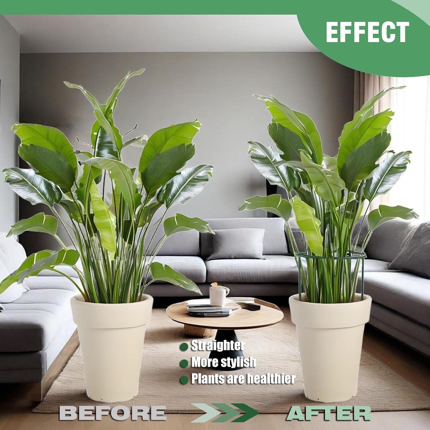 12 Pack Tall Snake Plant Support Stakes, 10" W x 24" H Half Round Peony Cages and Supports for Indoor and Outdoor Plants, Plant Cage Ring Support for Flower,Hydrangea, Peony, Tomato, Rose Bush-VerdiqueGarden