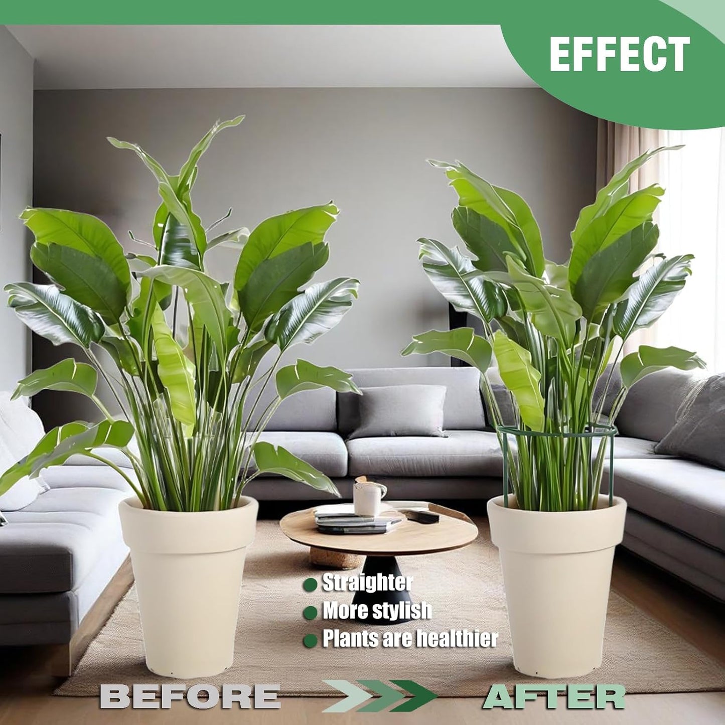 LINGHUI 12 Pack Plant Support Stakes, 10" Wide x 16" High,Heavy-Duty Half Round Peony Support Ring and Cage for Indoor and Outdoor Plants, Peony, Tomato, Hydrangea, Rose(100 Plant Ties)-VerdiqueGarden