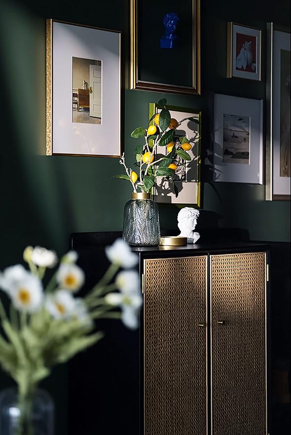 Dimoon 78.7''x15.7'' Emerald Dark Skin Peel and Stick Wallpaper Contact Paper Modern Self Adhesive Wall Paper Removable Renter Friendly Textured Solid Vinyl Roll (78.7''x15.7'',Emerald Dark Skin)-VerdiqueGarden