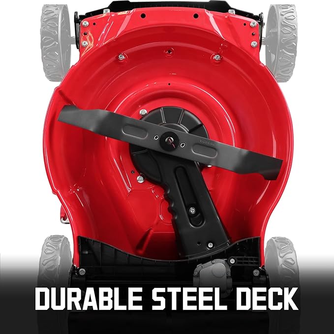 PowerSmart 21 in. Gas Lawn Mower with 125cc Briggs and Stratton E300 Engine, 2-in-1 Push Mower with Mulching & Side-Discharge-VerdiqueGarden