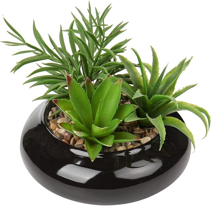 Hollyone Large Artificial Succulents Plants Faux Succulents in Pots Fake Succulent Potted Plants with Black Ceramic Pot for Home Decor Office Desk Bathroom Living Room Indoor & Outdoor Decorations-VerdiqueGarden