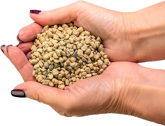 Pure Hard Akadama for Bonsai/Succulent Soil - (3mm-6mm) Small Grain for Cactus, Bonsai Plants Soil Amendment, Prevent Over Water, Provides Optimal Water Retention, Fast Drainage (5 Quart)-VerdiqueGarden