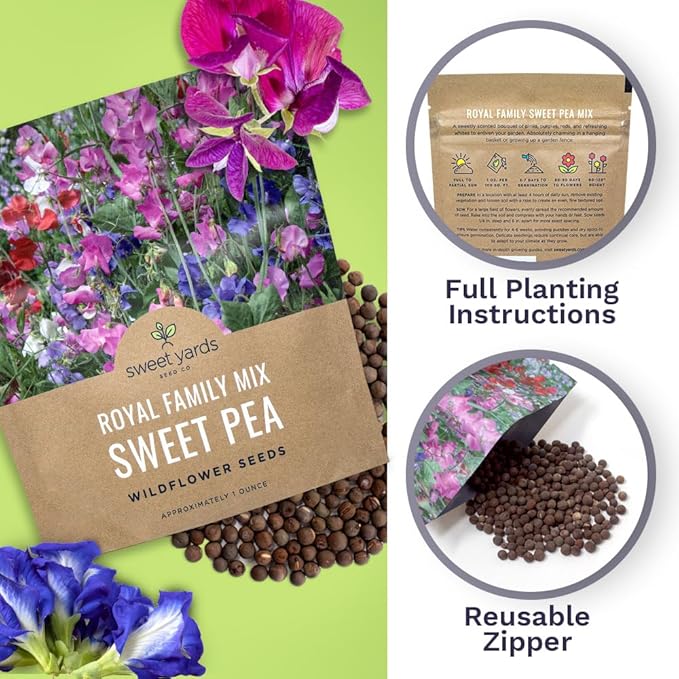 Sweet Pea Seeds Royal Mix - Bulk 1 Ounce Packet - Over 350 Seeds - Large Fragrant Lavender, Purple, Red, Pink and White Blooms-VerdiqueGarden
