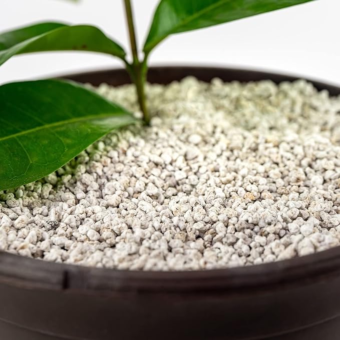 Organic Perlite — Medium/Fine Grade Horticultural Soil Amendment for Indoor & Outdoor Container Plants for Drainage Management and Enhanced Growth (2 Quart)-VerdiqueGarden