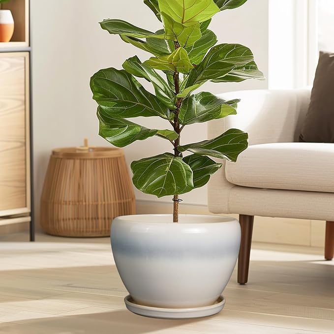 10 Inch Ceramic Planter Pot - Large Plant Pot with Drainage Hole and Saucer Round Flower Pot for Indoor Plants, White-VerdiqueGarden