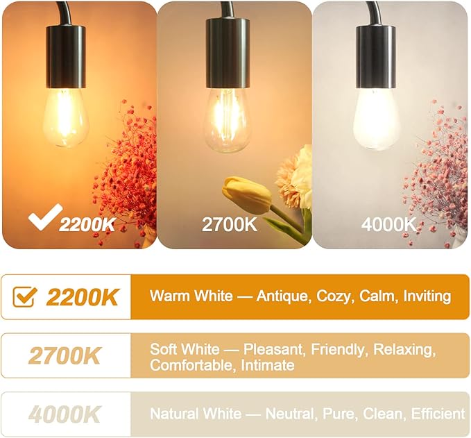 BRIMAX 25 Pack 2W S14 Replacement LED Light Bulbs for Outdoor String Lights, 2200K Warm White, Shatterproof & Waterproof,E26 Medium Base Vintage Edison Light Bulbs-VerdiqueGarden