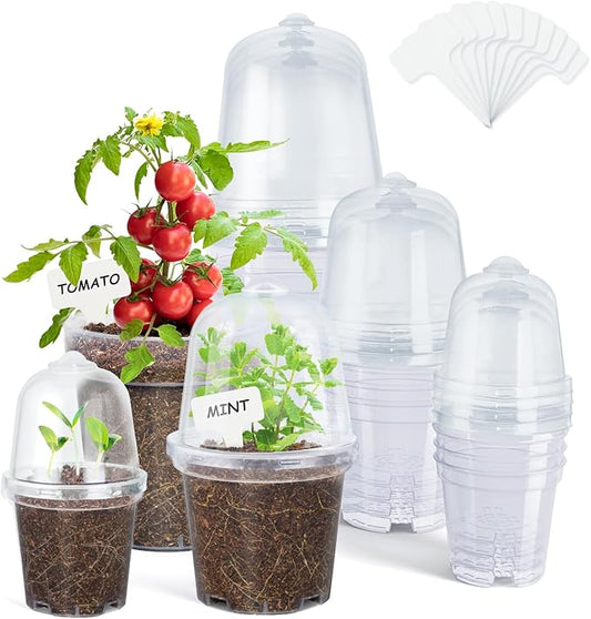 homenote Clear Nursery Pots for Plants,3/4/5 Inch Plant Pot for Planting with Humidity Domes Plastic Seedling with Drainage Holes Seed Starter Flower High Transparency (15 Pack)-VerdiqueGarden