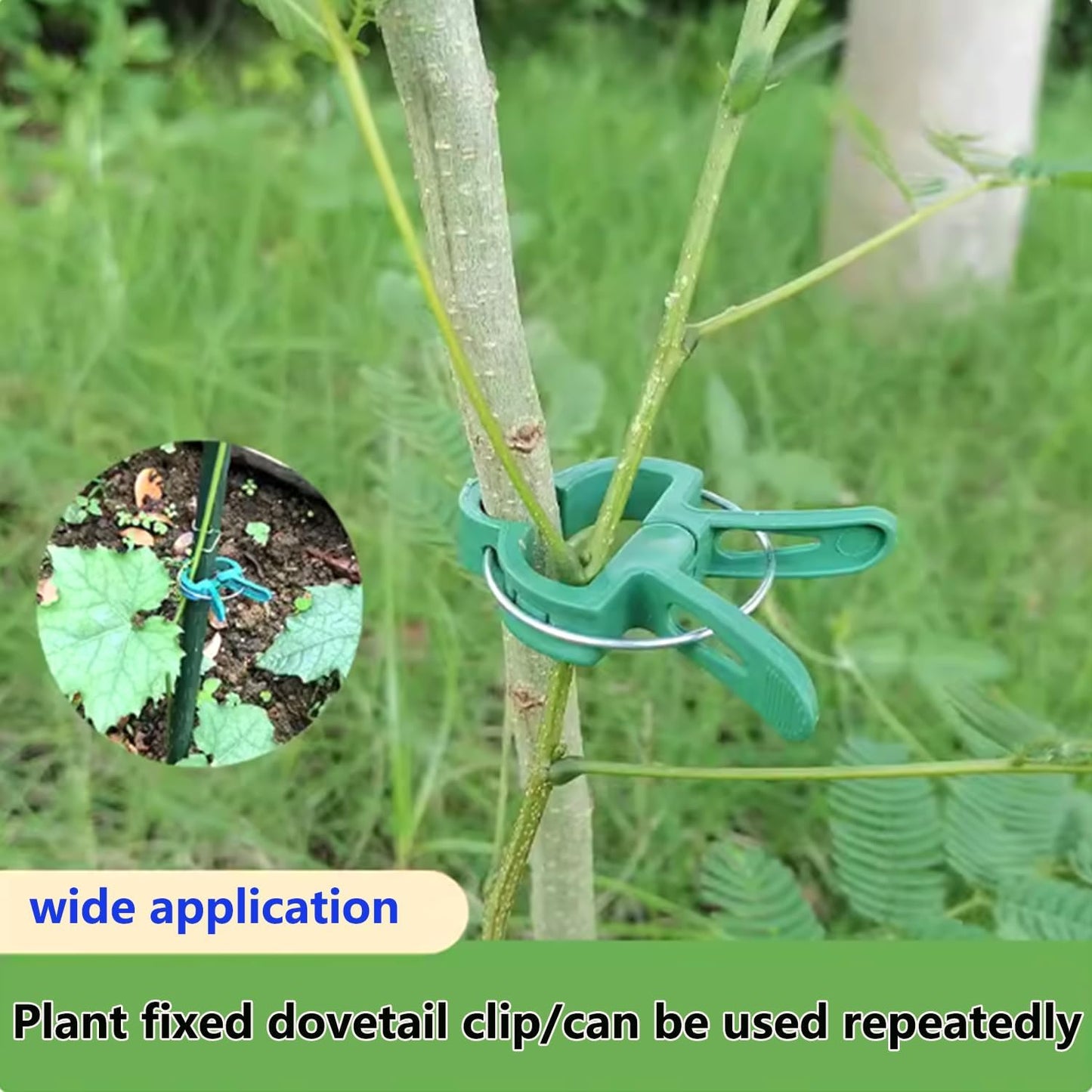 60 Garden Plant Clamps,Plant Support Clamps Hold Plant Stems,for Multi-Purpose Plants Rattan Clamps Rose,Sturdy Cucumber Orchid Clamps Plant Support Adjustable Clamps Green (Small 60Pcs)-VerdiqueGarden