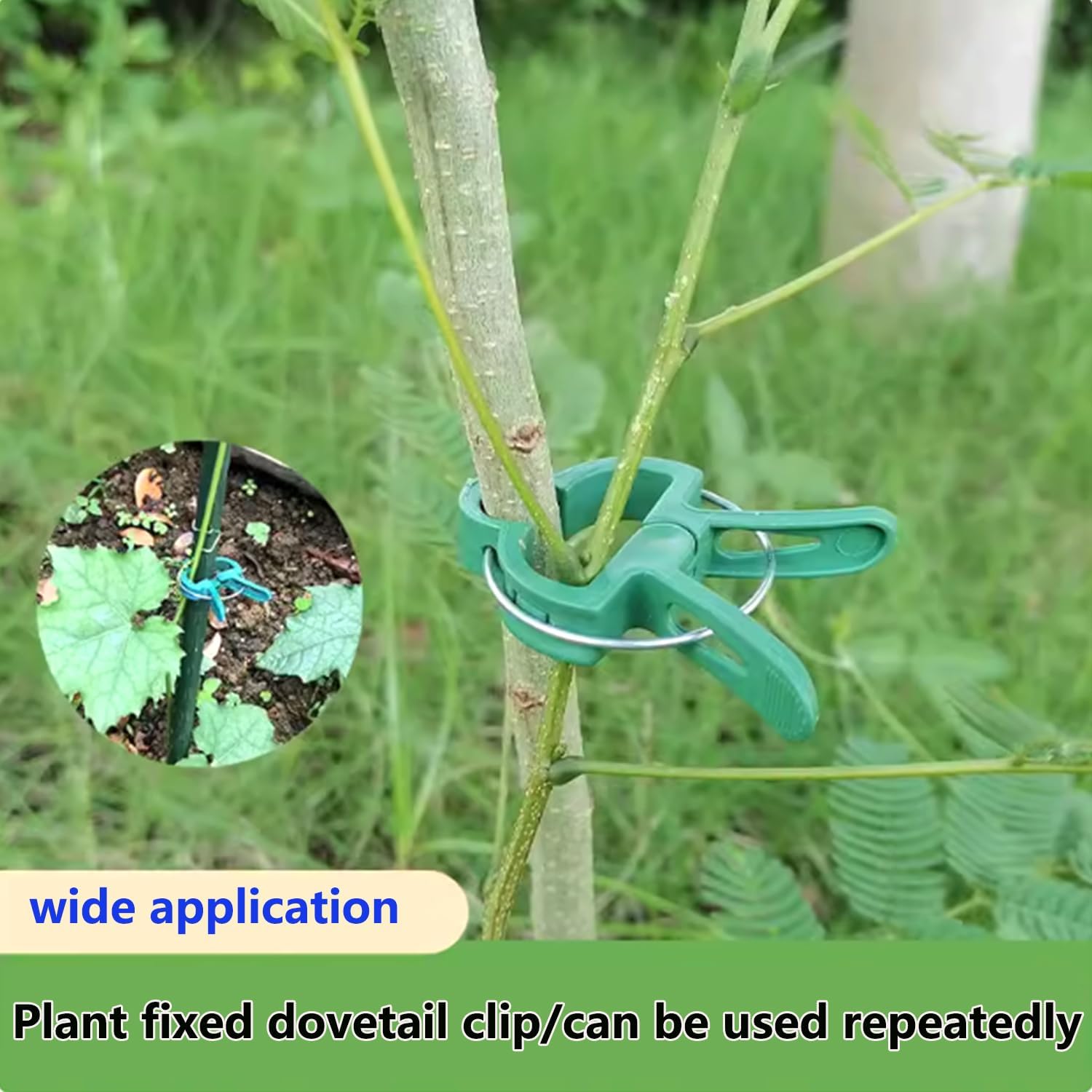 60 Garden Plant Clamps,Plant Support Clamps Hold Plant Stems,for Multi-Purpose Plants Rattan Clamps Rose,Sturdy Cucumber Orchid Clamps Plant Support Adjustable Clamps Green (Small 60Pcs)-VerdiqueGarden