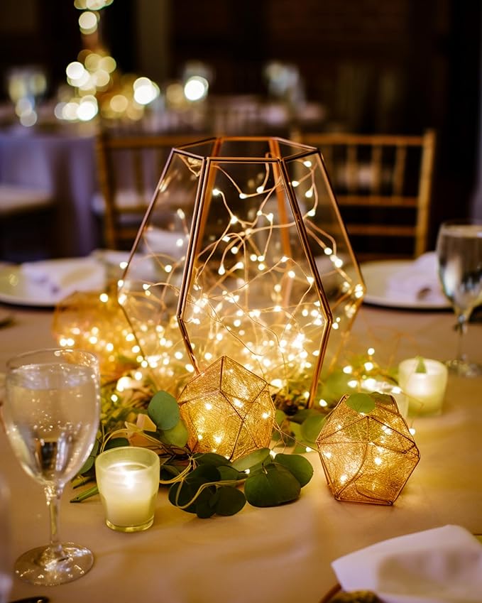 Homemory 4 Pack 20 Ft 60 LED Fairy Lights Battery Operated Christmas Lights with Remote Waterproof 8 Modes Firefly Twinkle String Lights for Party Bedroom Wedding Halloween Decorations-VerdiqueGarden