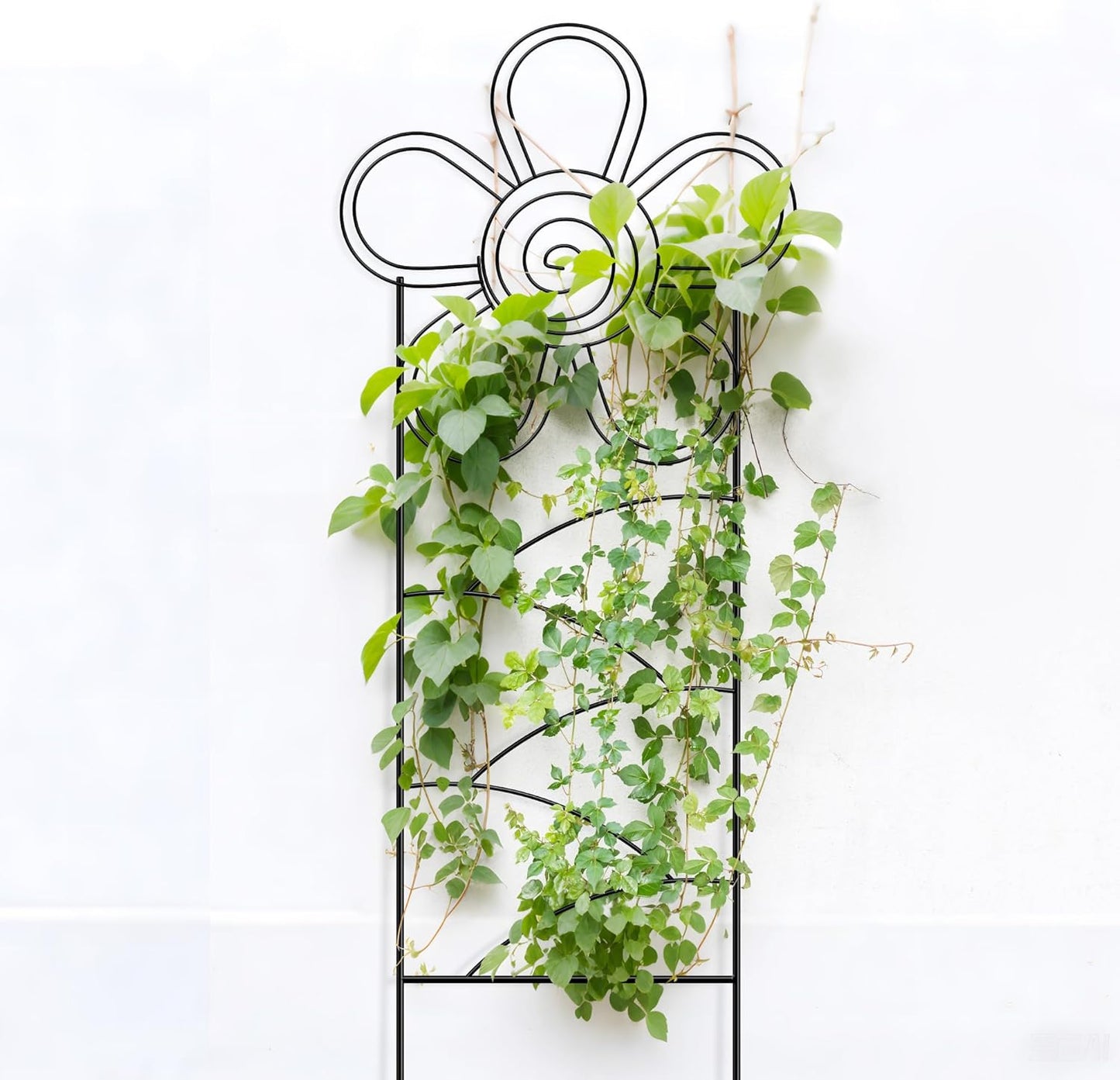 Arifaro Metal Garden Trellis 56″High (Pack of 4) Plant Trellis for Climbing Plants, Outdoor/Indoor Sturdy Plant Trellis for Climbing Vines, Flowers & Garden Plants (Floral)-VerdiqueGarden