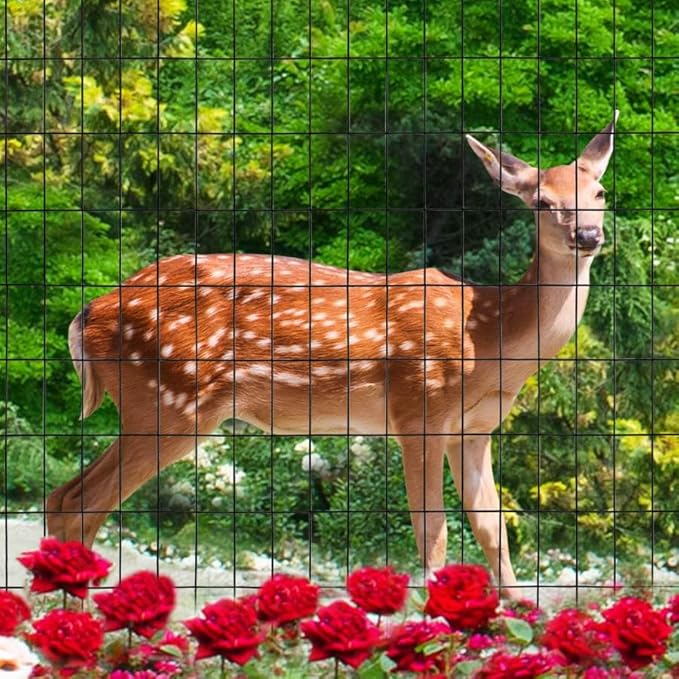 Black PVC Coated Welded Wire Fence 56 Inch x 50 Foot, 2 Inch x 4 Inch 14GA, Garden Border Fencing Roll Vinyl Coating Metal Wire Mesh Hardware Cloth for Yard Vegetable Plant Protection-VerdiqueGarden