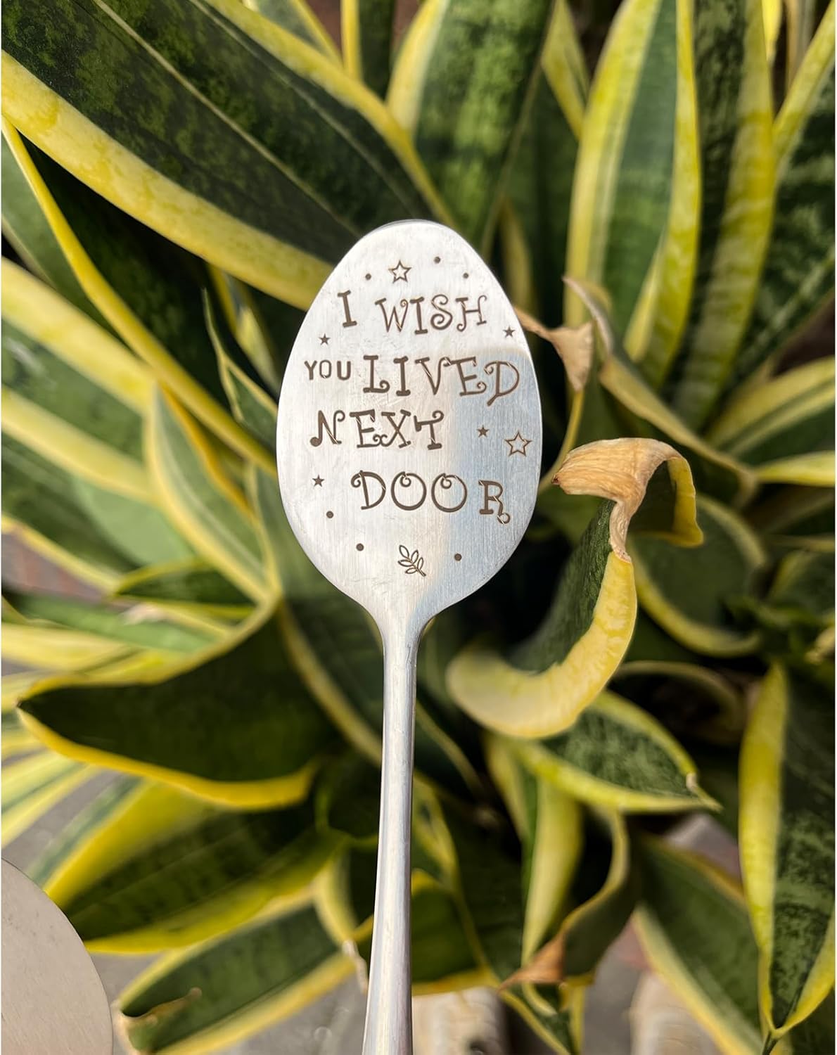 Garden Friendship Gift for Women Gardeners, Plant Marker Stake Label Sign Tag, Gardening Gifts for Woman Lovers, Metal Garden Decoration (Live Next Door)-VerdiqueGarden