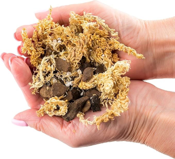 Premium Sphagnum Moss, Perlite and New Zealand Pine Bark Blend for Carnivorous Plants - Perfect for Venus Fly Traps, Pitcher Plants, Sarracenia, Butterworts, and Sundews by GARDENERA - 2 Quart Bag-VerdiqueGarden