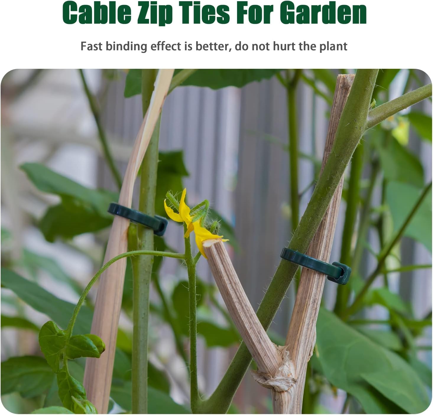 8 Inch Garden Green Zip Tie 1000 PCS, 40 Lbs - Small to Medium Zip Tie, Nylon PA66 UV Resistant Cable Tie Heavy Duty for Indoor and Outdoor Use - Ideal for bundling and securing objects-VerdiqueGarden