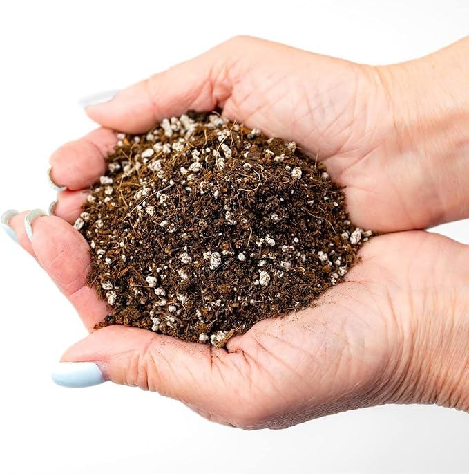 Organic Potting Soil for Tomato Plants - 1 Quart - Hand-Mixed with Natural Ingredients for Optimal Growth and Nutrient Retention-VerdiqueGarden