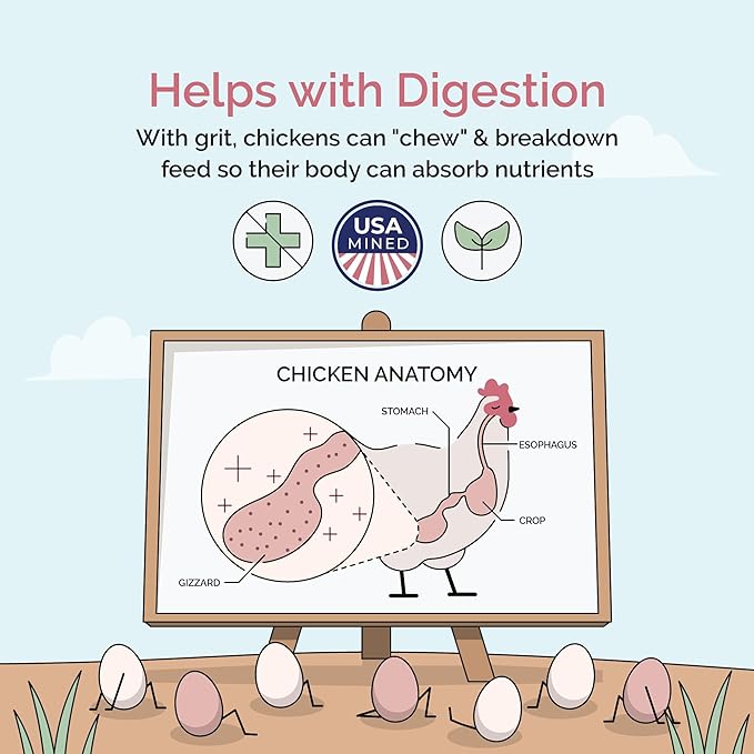 Chicken Grit for Layer & Grower Chickens Age 8-20+ Weeks - 100% Natural Mineral Chicken Grit Quartzite, Poultry Grit, USA Mined, 4 lbs-VerdiqueGarden