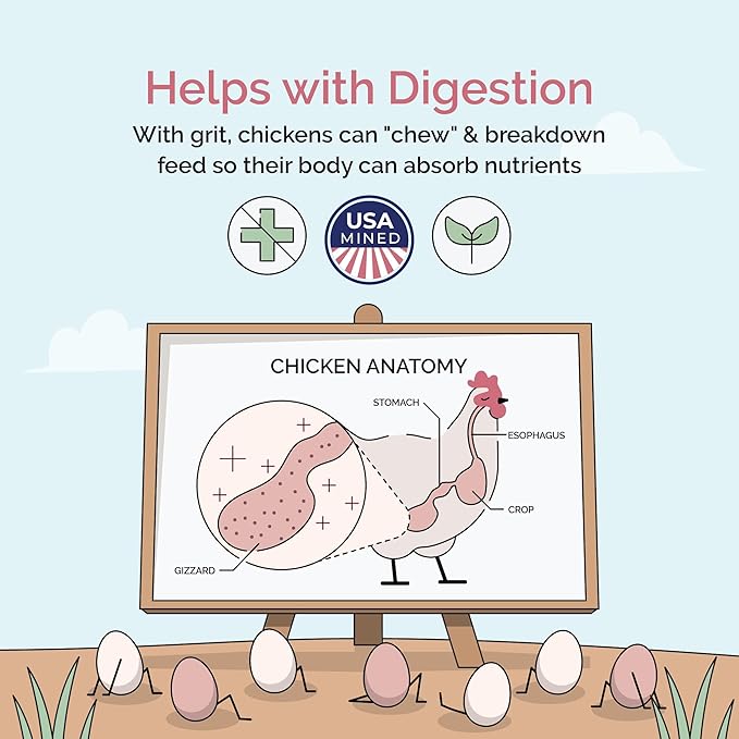 Chicken Grit for Layer & Grower Chickens Age 8-20+ Weeks - 100% Natural Mineral Chicken Grit Quartzite, Poultry Grit, USA Mined, 50 lbs-VerdiqueGarden