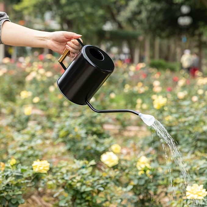 L&H Unico Stainless Steel 62oz Watering Can Long Spout Plant Misters for Indoor Plant Watering or Outdoor Gardening with 2Pcs Removable Spray Spout for Flowers Black-VerdiqueGarden